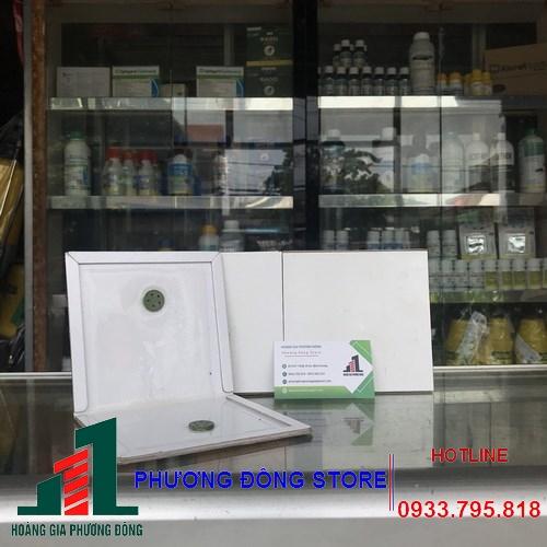 Keo dính chuột gỗ